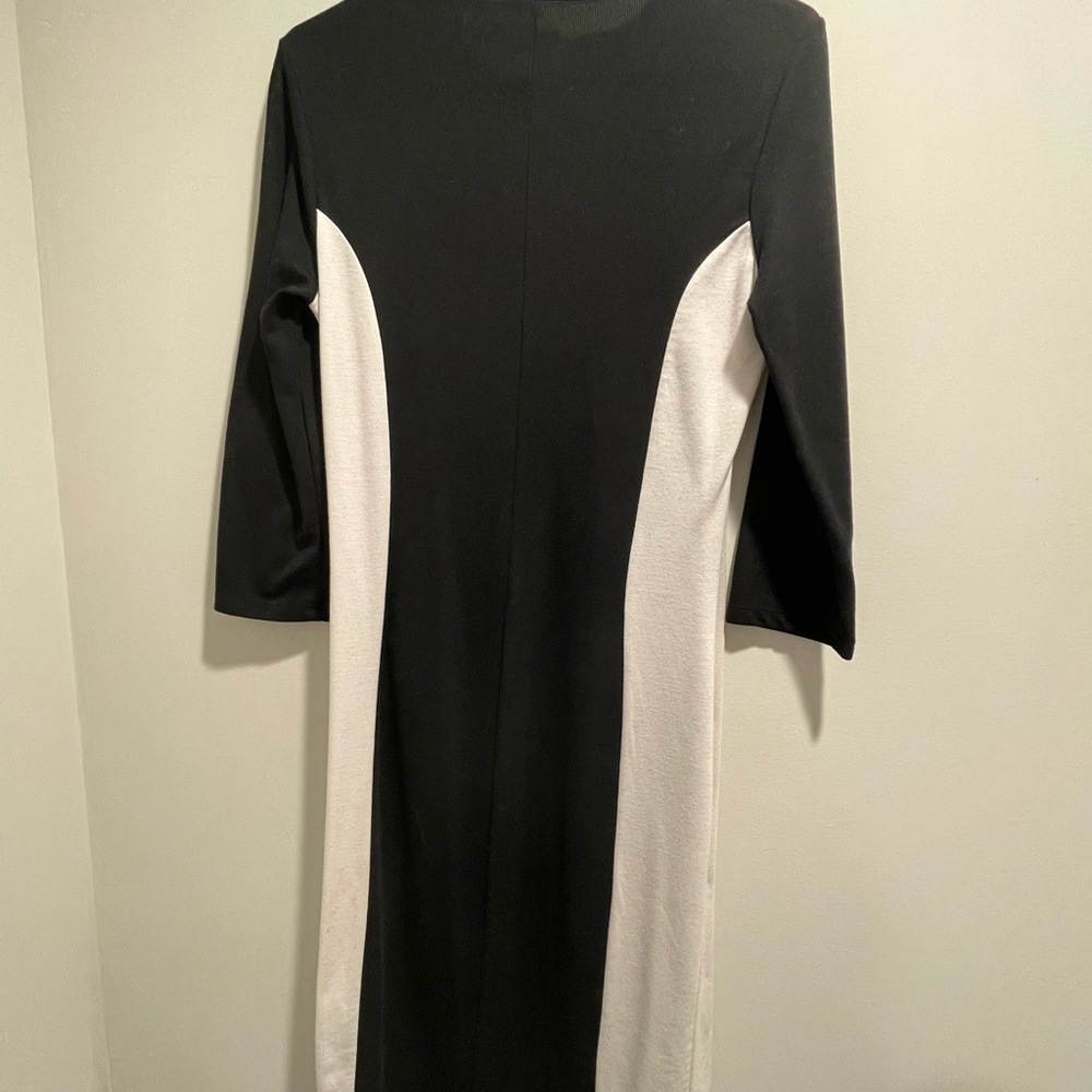 Zara Color Block Black and White Dress